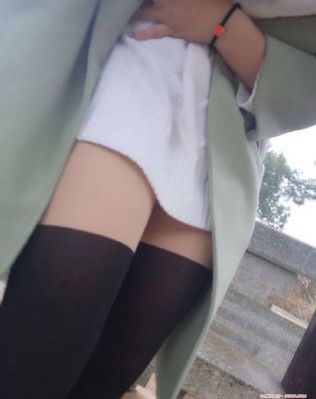 新猫和老鼠第一季免费观看完整版_剧情片在线观看完整版